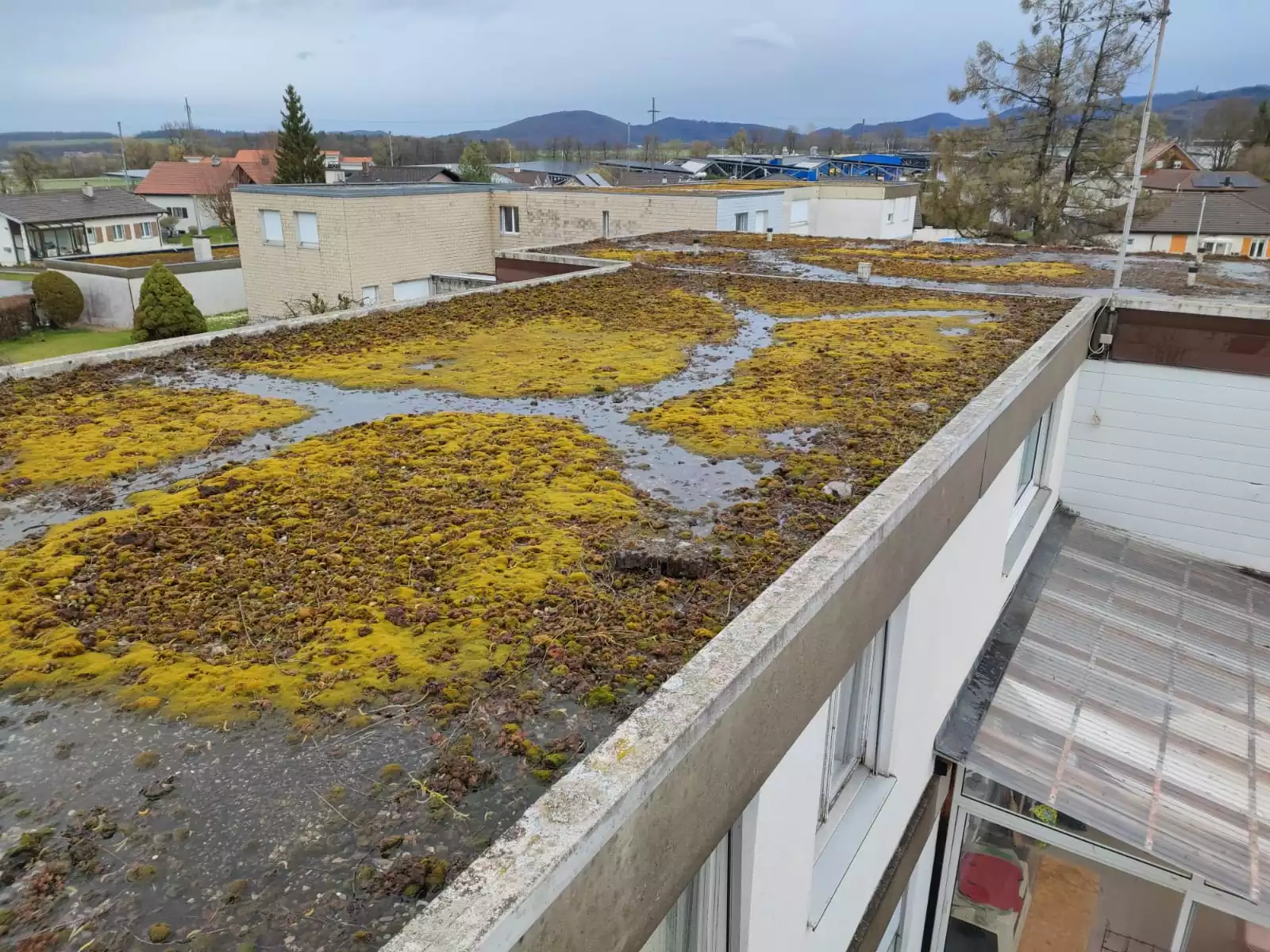Villas en auto-gestion - Courgenay, Jura - photo 3